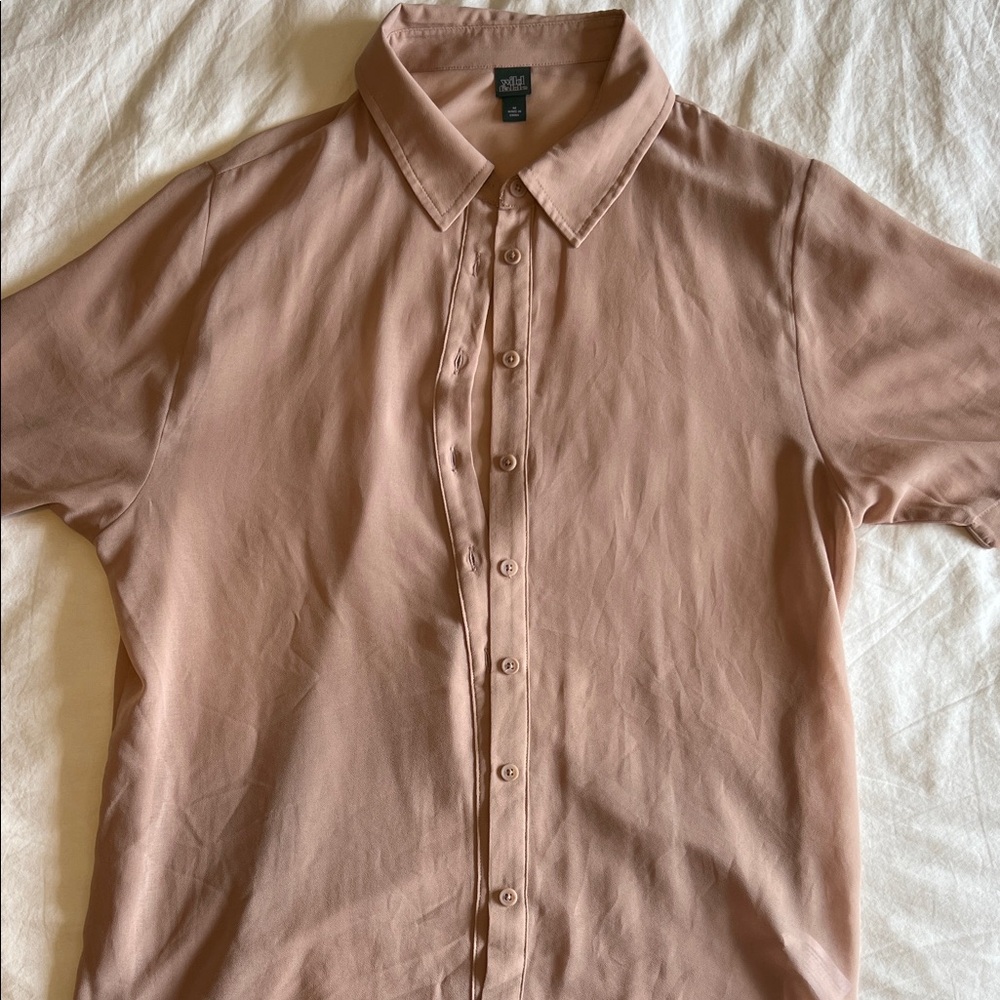 Wild Fable Blush Sheer Button Down Shirt